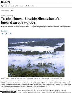 Tropical Forests Have Big Climate Benefits Beyond Carbon Storage
