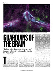 Guardians of the Brain