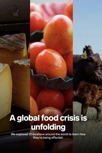 A Global Food Crisis is Unfolding