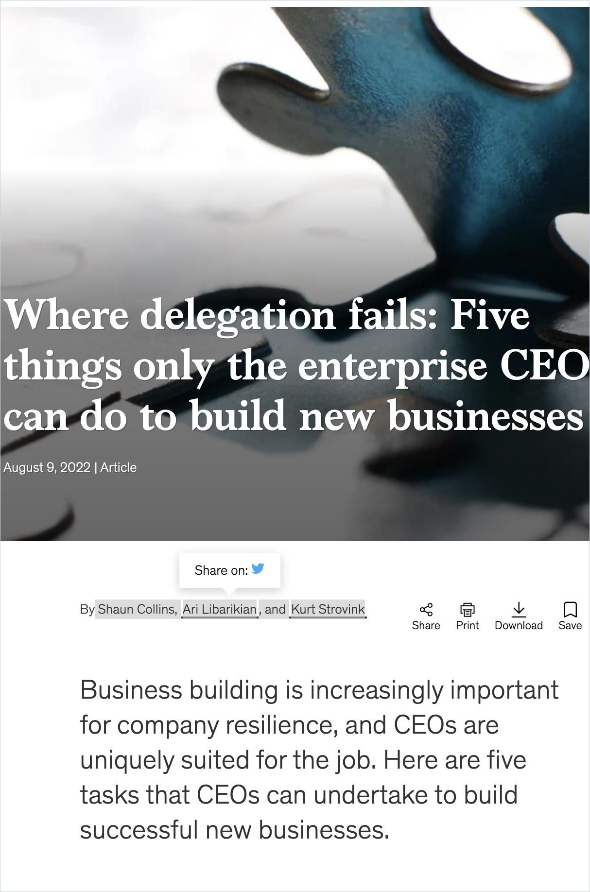 Image of: Where Delegation fails: Five things only the enterprise CEO can do to build new business