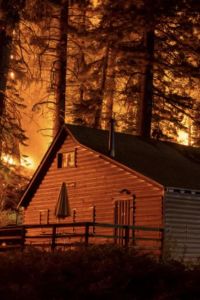 The Terrifying Choices Created by Wildfires