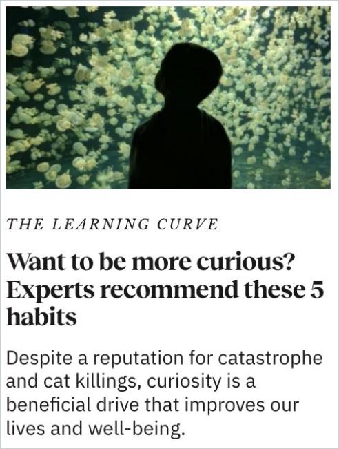 Image of: Want to be more curious? Experts recommend these 5 habits