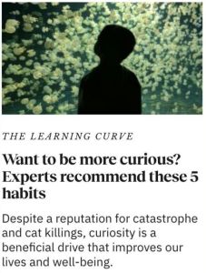 Vous souhaitez développer votre curiosité ? Les experts conseillent d’adopter ces cinq habitudes.