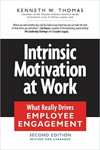 Image of: Intrinsic Motivation at Work