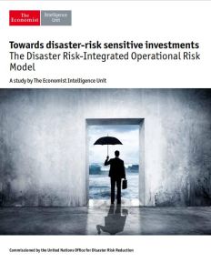 Towards Disaster-Risk Sensitive Investments