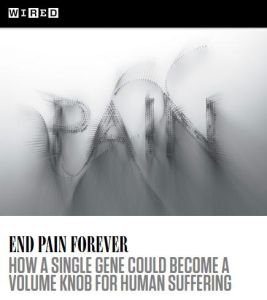 End Pain Forever