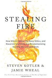 Stealing Fire Free Summary By Steven Kotler And Jamie Wheal - 