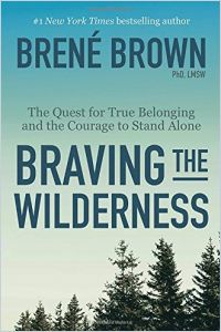 Braving the Wilderness book summary