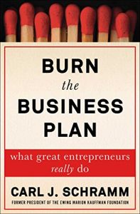 Burn the Business Plan