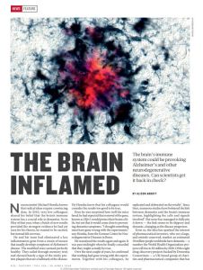 The Brain Inflamed