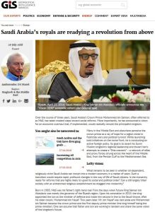 Saudi Arabia’s royals are readying a revolution from above