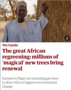 The Great African Regreening