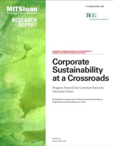 Corporate Sustainability at a Crossroads