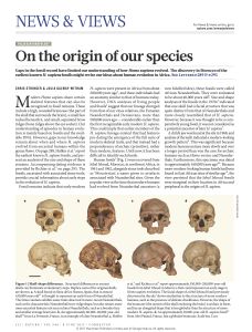On the Origin of Our Species