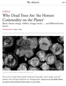 Why Dead Trees Are ‘the Hottest Commodity on the Planet’