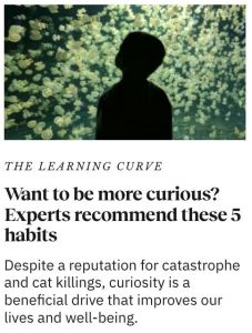 Want to be more curious? Experts recommend these 5 habits